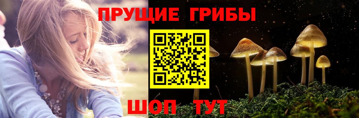 Псилоцибиновые грибы GOLDEN TEACHER  Вход с VPN  Елабуга  Галлюциногенные грибы Psilocybine cubensis 